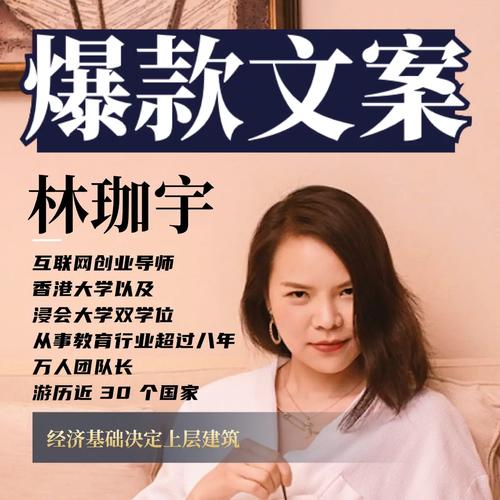 链动小铺发卡网,高ROI广告方案的三重视角解构与实战策略