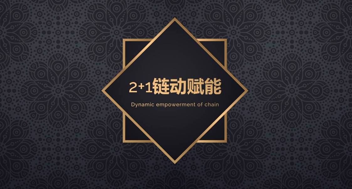 速度即金钱,链动小铺发卡网如何三管齐下,击穿用户下单决策壁垒