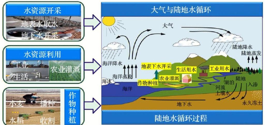 流量洪峰下的蓄水池与滤网,链动小铺流量承接优化的三维思考
