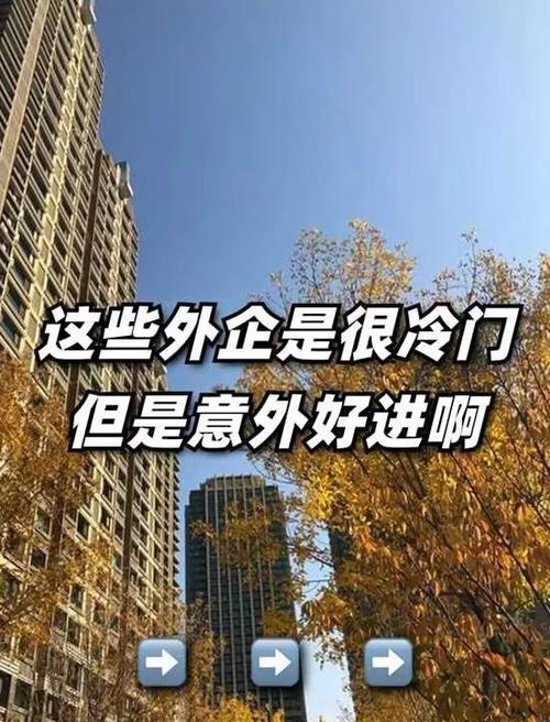 别只盯着九块九了!发卡网自动卖货,选对品类才是印钞机