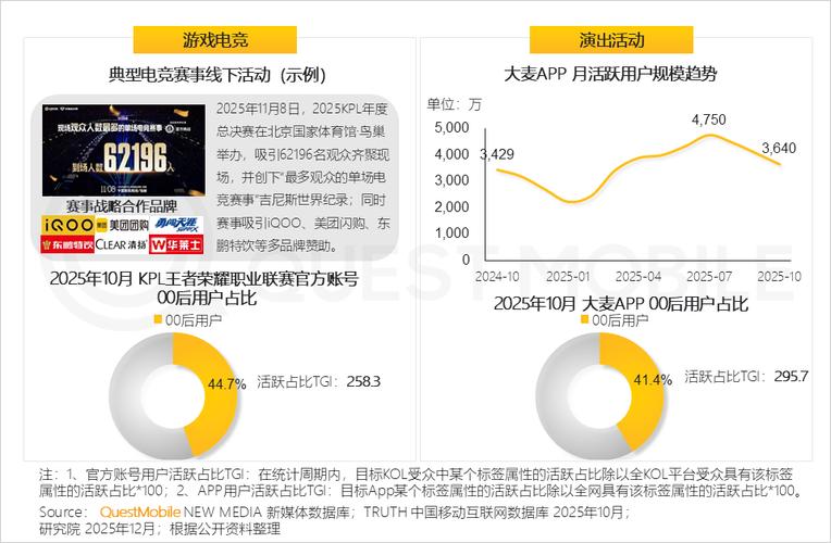 链动小铺用户行为数据揭秘，发卡网平台上的隐形消费密码