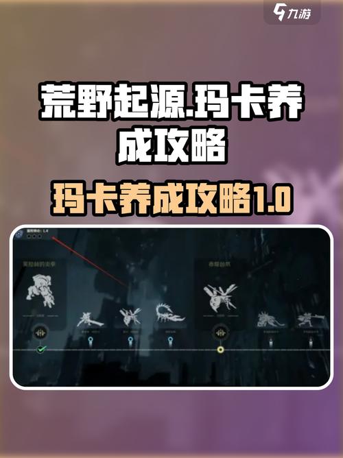 从开盲盒到操盘手,链动小铺如何驯服发卡网的不可控野马