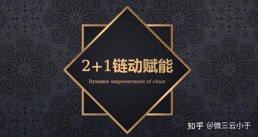 链动小铺,虚拟电商的隐秘引擎还是又一个数字泡沫?