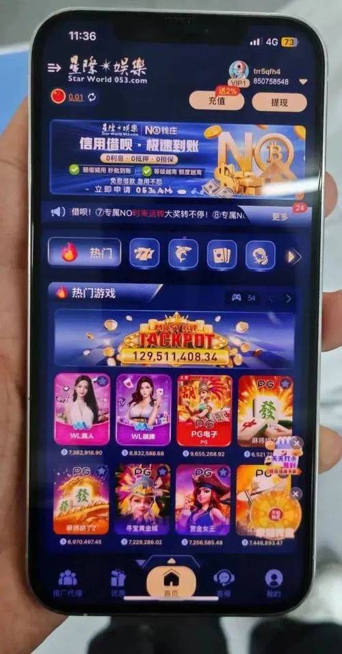 链动小铺发卡网,一场关于效率与风险的数字赌局