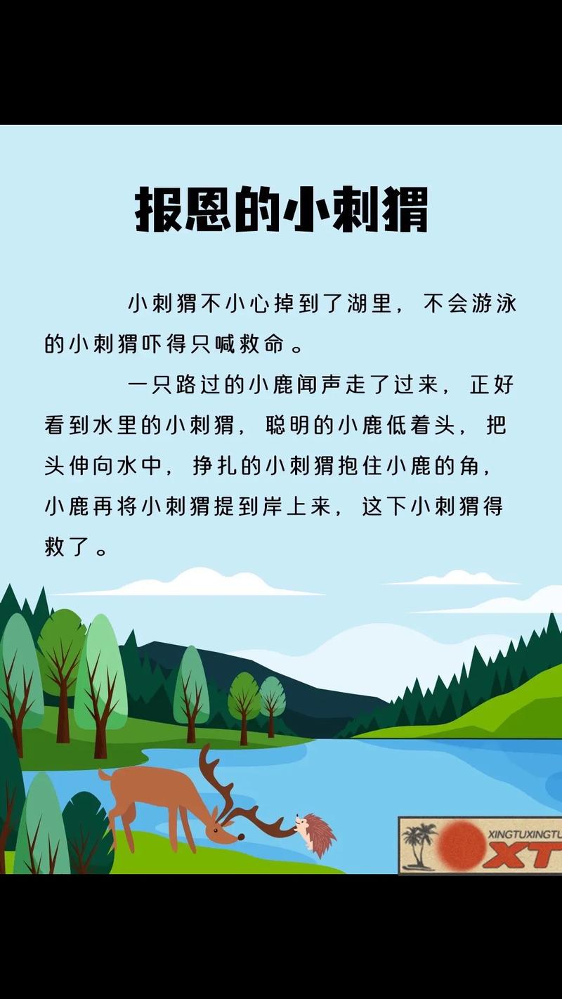 好,没问题。先给你讲个故事,听完这个故事,关于链动小铺发卡网的开发方案,你心里自然会有杆秤
