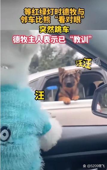 别急着骂发卡网卡成狗,我先给链动小铺烧了柱高香