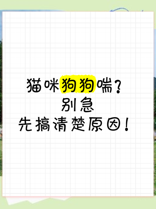 别急着写代码,先搞清楚这到底是个什么物种