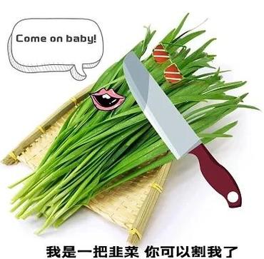 躺赚还是割韭菜?聊聊链动小铺发卡网自动销售到底怎么玩